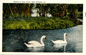 LA - New Orleans. City Park, Swans