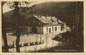 norway norge, NARVIK, Jernbanestation, Railway Station (1920s) Postcard