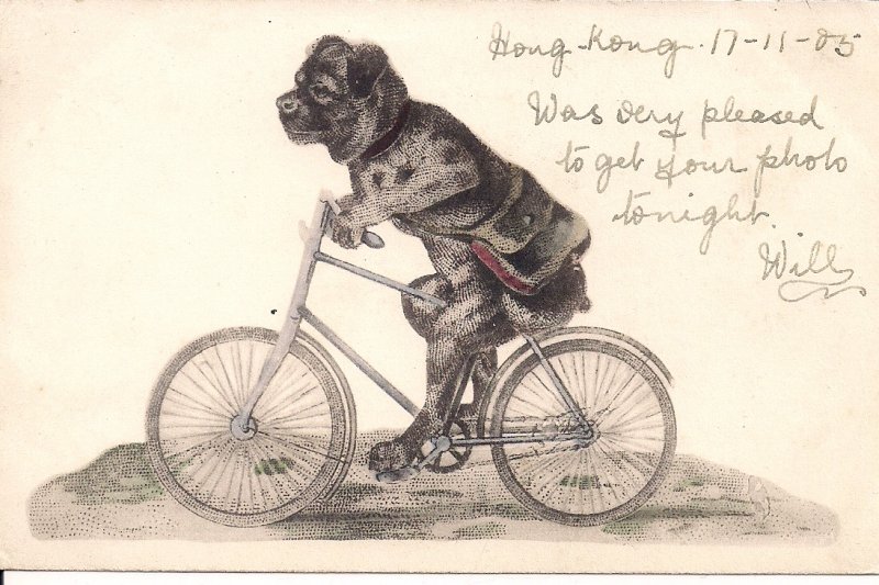 HONG KONG, China, Big Funny Dog on Bicycle, 1905, Post Office Mascot?