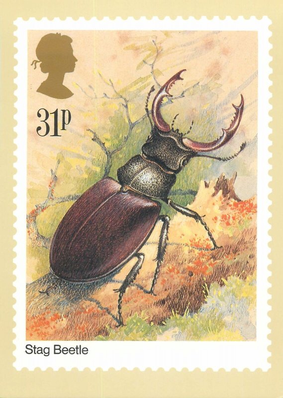 British stamp on Postcard Insects Stag Beetle design Gordon Beningfield