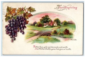 1914 Thanksgiving House Field Grapes Clapsaddle Aleinmuller Embossed Postcard 