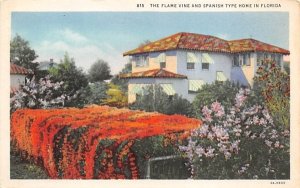 Flame Vine and Spanish Type Home in Florida, USA  