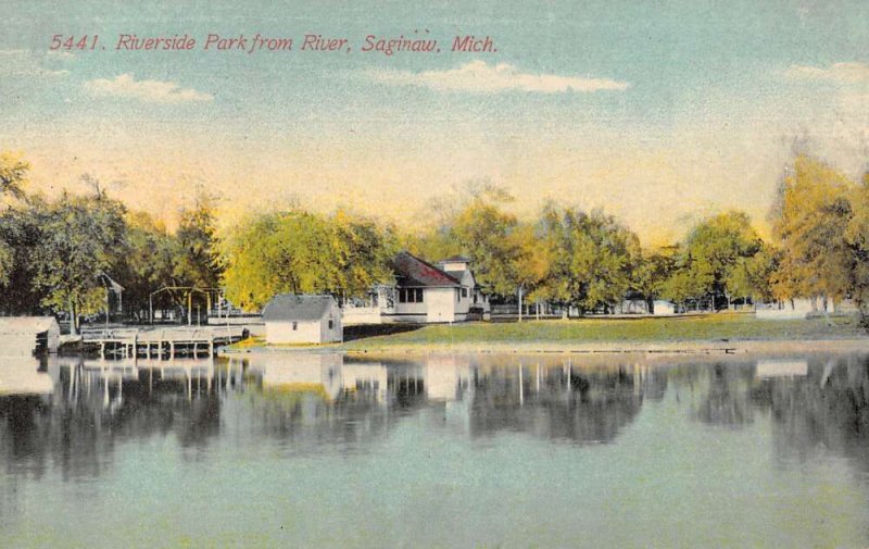 Saginaw Michigan Riverside Park from River Scenic View Postcard AA40025