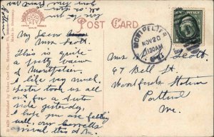 Montpelier Vermont VT State St Street Scene c1900s-20s Postcard