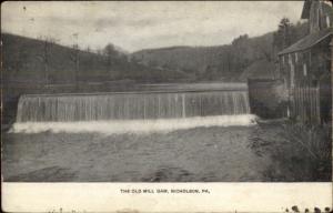 Nicholson PA Old Mill Dam c1910 Postcard