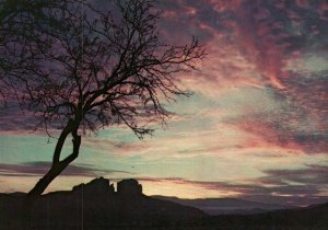 VINTAGE POSTCARD CONTINENTAL SIZE OAK CREEK CANYON & COURT HOUSE SEDONA ARIZONA