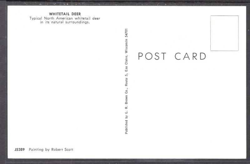 Whitetail Deer,Painting