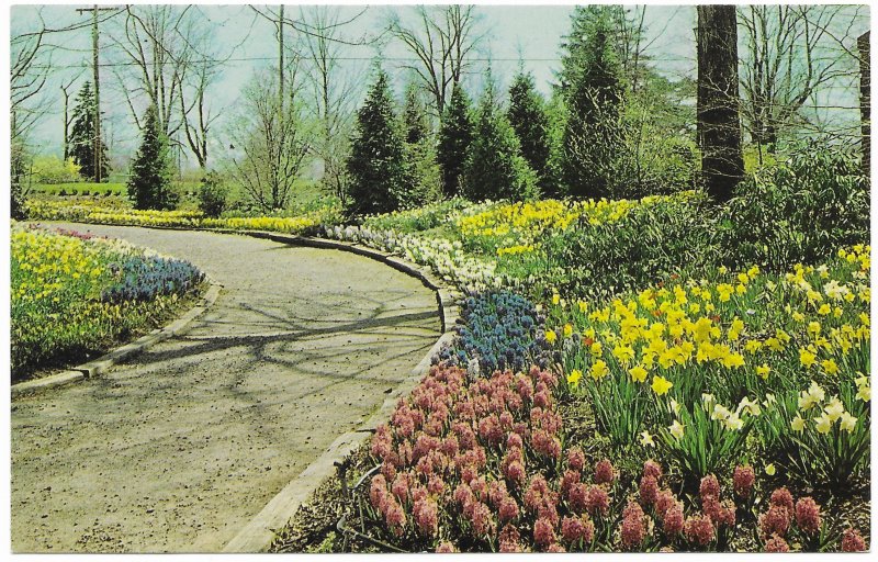 US unused. Kingwood Center, Ravine Path.  Mansfield, Ohio.  Nice.