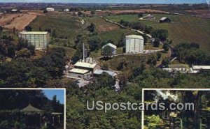 McCormick Distilling Company - Weston, Missouri MO Postcard