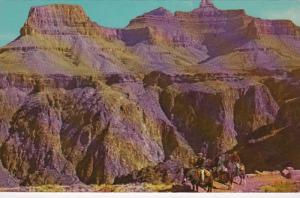 Arizona Grand Canyon Inner Canyon Kaibab Trail Fred Harvey