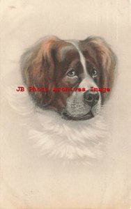 Unknown Artist, Ig Neuburg Series 817, St Bernard Dog