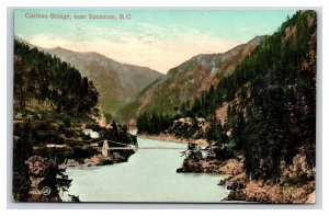 Caribou Suspension Bridge Spuzzum British Columbia BC Canada 1909 DB Postcard T6