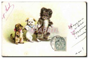 Postcard Old Dog Dogs Puppy