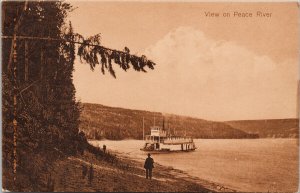 View on Peace River Alberta AB Steamer Unused H. Enida Olive #150 Postcard H10