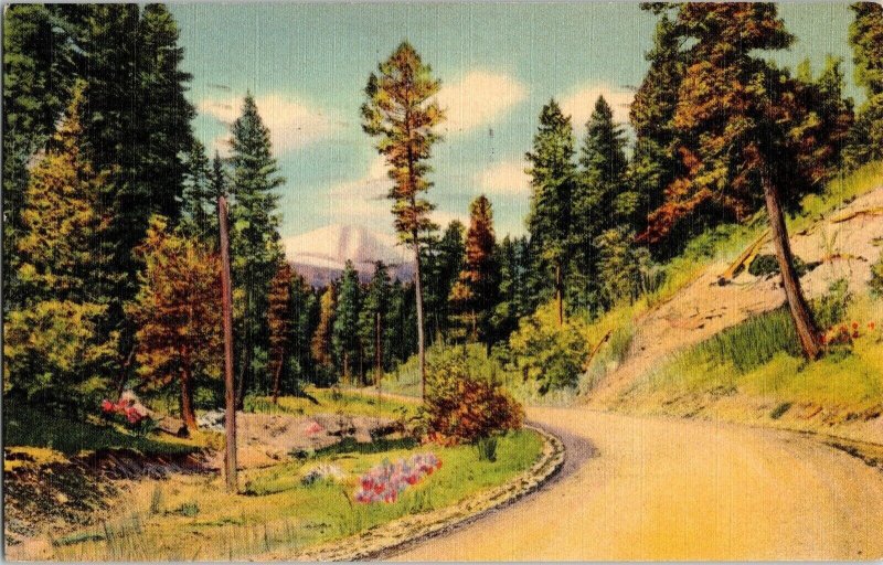 Dark Canyon Road U.S. Hwy 70 White Mountains Alamogordo Apache Postcard Cancel 