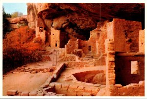 Colorado Mesa Verde National Park Spruce Tree Ruin