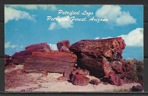 Arizona - Petrified Forest - Petrified Logs - [AZ-122]