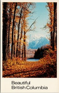 Fall Scene Hazelton BC Beautiful British Columbia Amateur Radio Postcard F65