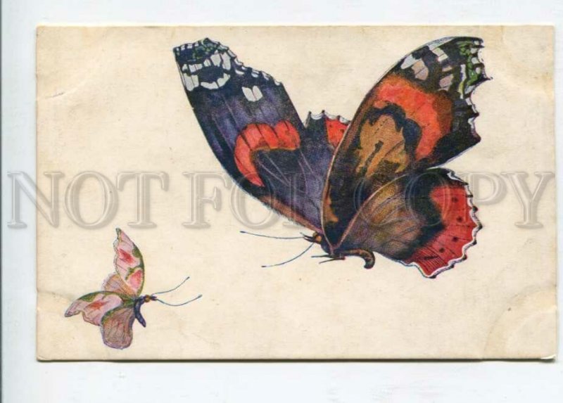 427056 Russia ART NOUVEAU Butterfly Vintage RARE Modern Art #8