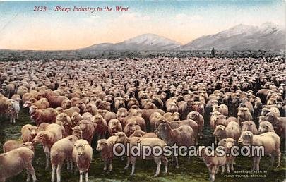West Sheep Industry Unused 