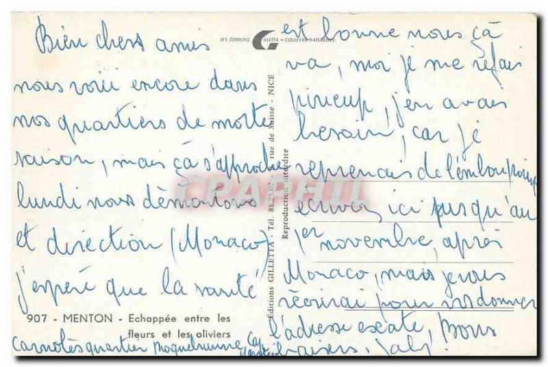 Postcard Moderne Menton Echappee between flowers and olive trees