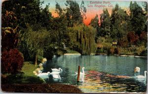 Swans Swimming in Eastlake Park, Los Angeles CA Vintage c1909 Postcard H04