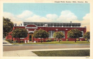 Decatur Alabama Cooper-Wells Hosiery Mills, White Border Vintage Postcard U11217