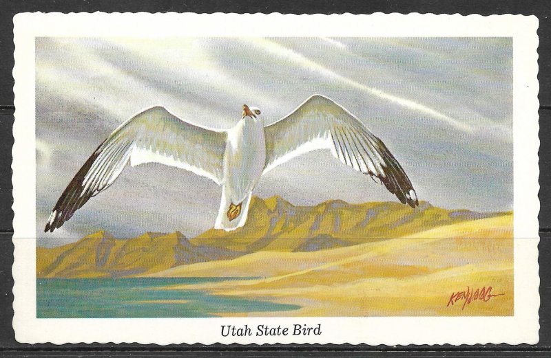 Utah - State Bird - Sea Gull - [UT-005]