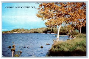 1961 Scenic View Chetek Lake Chetek Wisconsin WI Antique Posted Vintage Postcard