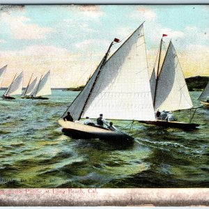 c1900s Long Beach, CA Yachting Pacific Ocean Sailboat Ship PC Los Angeles A324