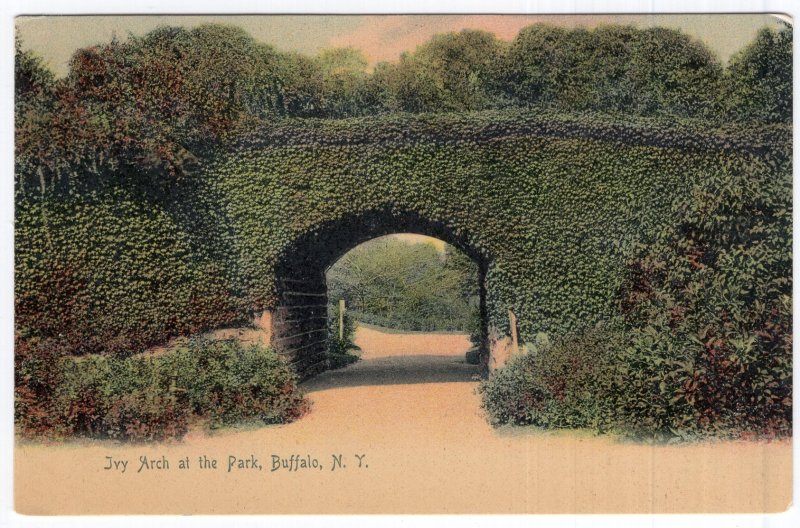 Buffalo, N.Y., Ivy Arch at the Park - Rotograph