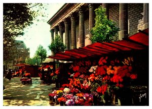 Postcard France Paris - Madeleine flower walk