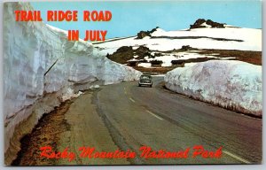 Vtg Colorado CO Rocky Mountain National Park Trail Ridge Road 1950s Postcard