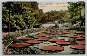 MN Lily Pond Como Park St Paul Minnesota Postcard I27