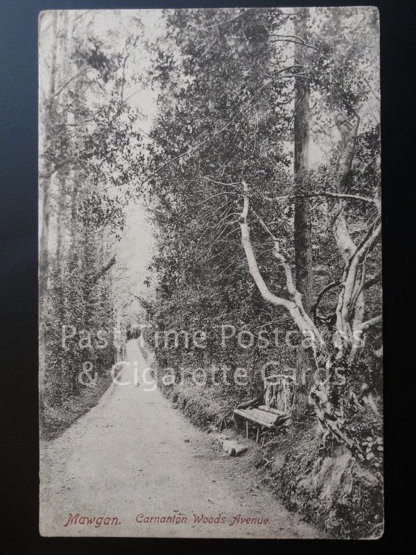 Cornwall: MAWGAN Carnanton Woods Avenue c1905