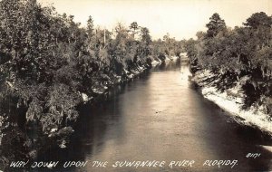 Way Down Upon The Suwannee River Florida Real Photo Postcard