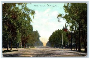 Colorado Springs Colorado CO Postcard Webber Street Exterior Trees 1909 Vintage