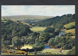 Devon Postcard - Dartmeet, South Devon    RR4663