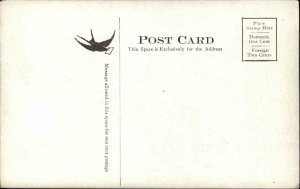 Wakefield MA Horse Drawn Fire Engine c1910 Postcard