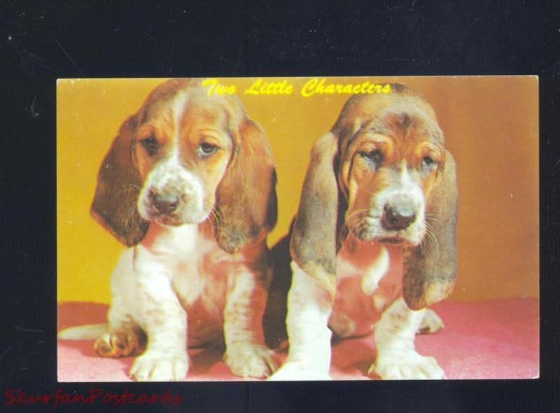 TWO LITTLE CHARACTERS BASSET HOUND PUPS PUPPIES DOG DOGS 