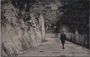 Bermuda Top Of Government Hill Vintage Postcard C279