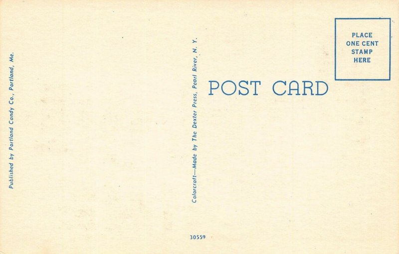 LP65 Large Letters Portland   Maine Postcard 