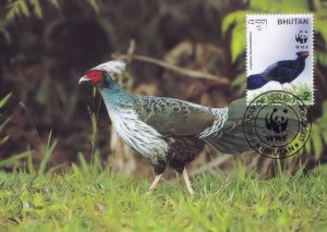 Kalij WWF Bhutan Pleasant Bird Stamp Rare FDC Postcard