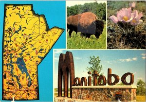 Manitoba Canada Multi View Vintage Postcard Continental View Card Map