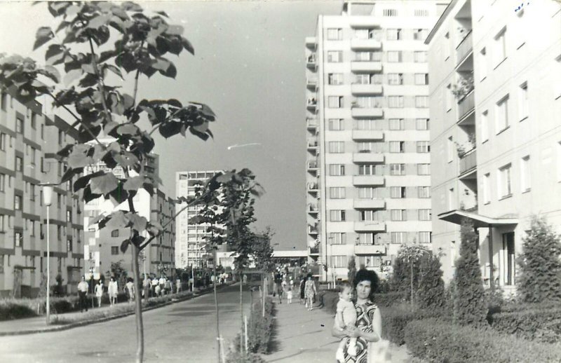 Romania Constanta litoral hotel turisti strada  Postcard