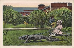 Little Girl w Alligator Pulling Cart, FL Florida 1920's