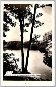 Zaleski Park Ohio 1940s RPPC Real Photo Postcard Natures V For Victory Trees