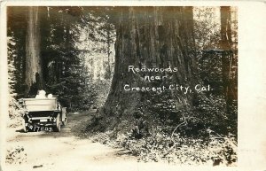 Postcard RPPC 1920s California Crescent City Redwood automobile CA24-2728