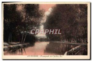 Old Postcard Auxerre Promenade L & # 39Arbre Sec