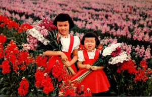 Arizona Phoenix Fields Of Stocks Young Girls In Field Of Flowers